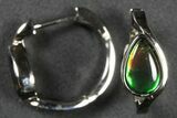 Flashy Ammolite (Fossil Ammonite Shell) Earrings with Sterling Silver #271780-1